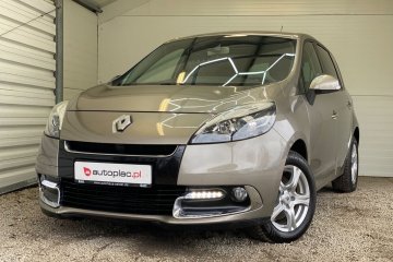 LED _ 1.2TCe _ Climatronic _ Grzane Fotele _ ZOBACZ _ Jaki Śliczny